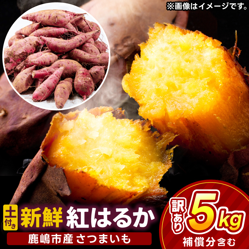 【先行予約】【2025年10月以降発送】【訳あり】 紅はるか さつまいも 計 約5kg (4kg+約25%補償分) 新鮮 土付き【サツマイモ 紅はるか 茨城県 鹿嶋市 10000円以下】(KAM-25)