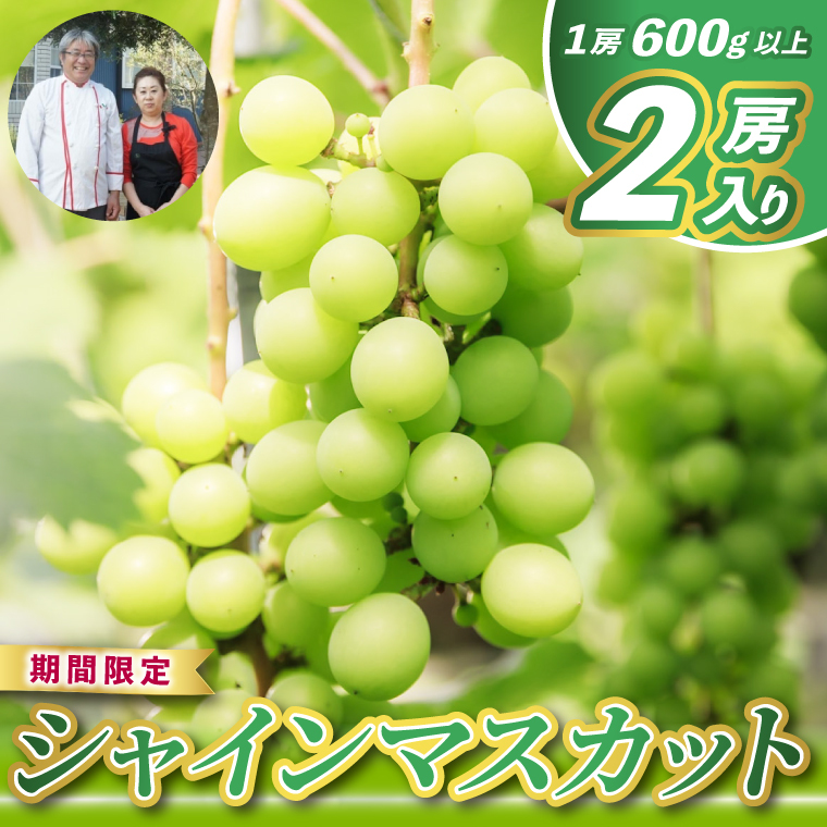 レストランのプロが育てる!鹿嶋市産 シャインマスカット 2房 (大粒600g以上/房) <皮ごと食べられる極上ぶどう>(KAE-14)