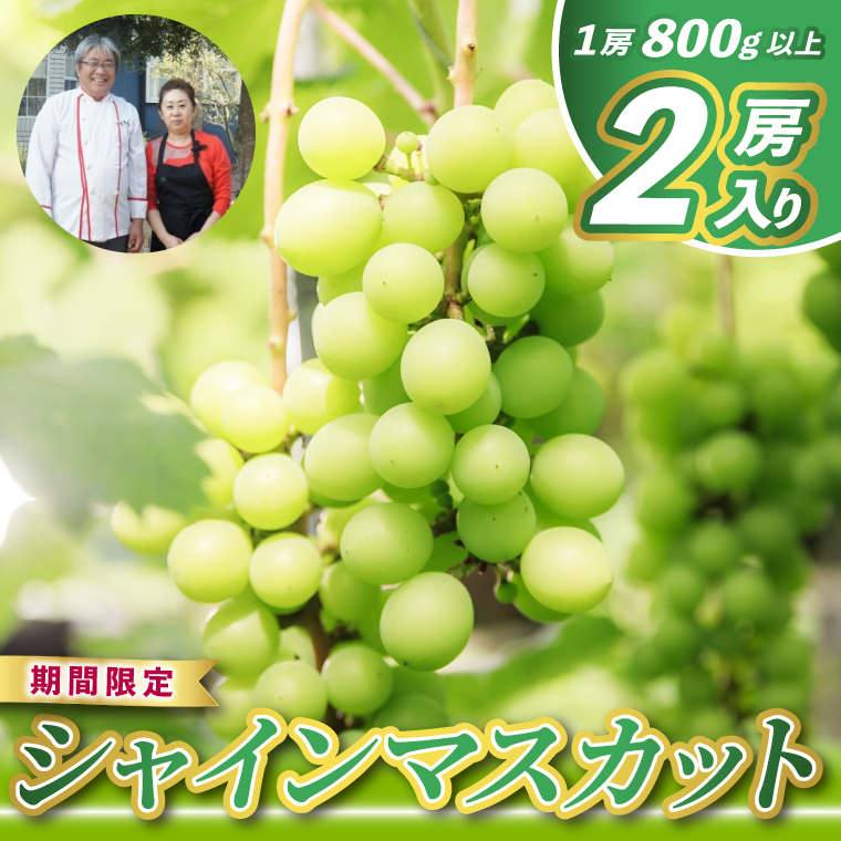 レストランのプロが育てる!鹿嶋市産 シャインマスカット 2房 (大粒800g以上/房) <皮ごと食べられる極上ぶどう>(KAE-15)