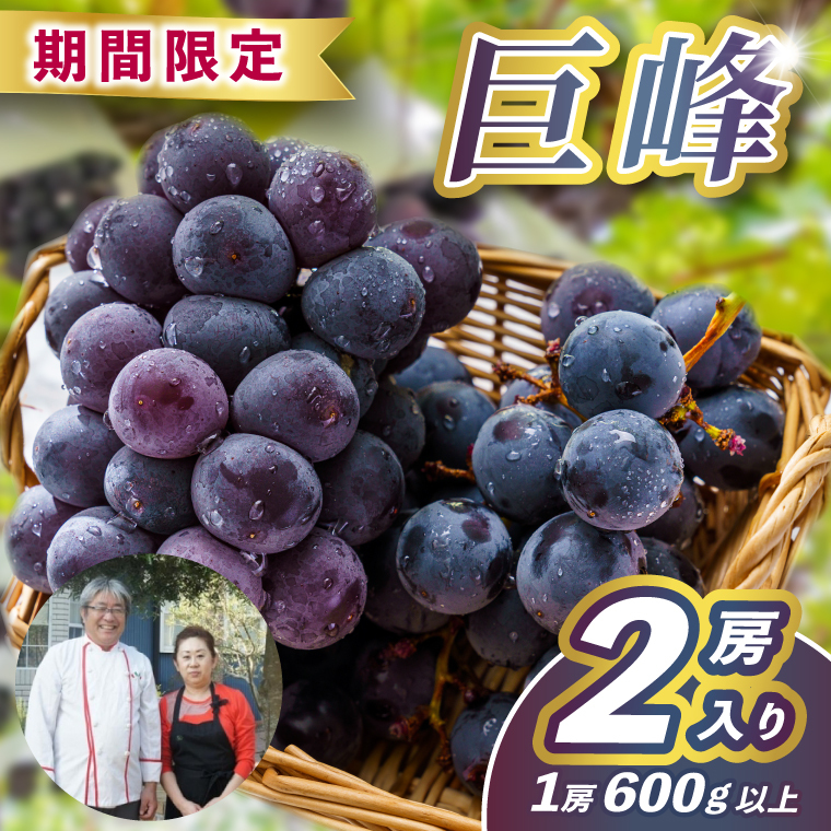 レストランのプロが育てる!鹿嶋市産 ぶどうの王様「巨峰」2房(大粒600g以上/房) (KAE-16)
