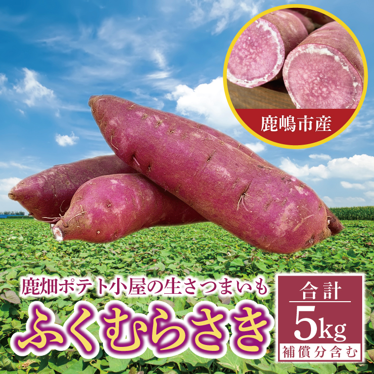 【先行予約】鹿畑ポテト小屋の生さつまいも ふくむらさき 計 約5kg(4kg+約25%補償分)【鹿嶋市 減農薬 熟成 貯蔵 サツマイモ 紫いも 甘い 5キロ 10000円以内 1万円以内】 (KBR-12)