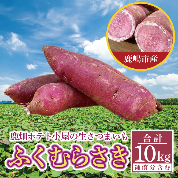 【先行予約】鹿畑ポテト小屋の生さつまいも ふくむらさき 計 約10kg(8kg+約25%補償分)【鹿嶋市 減農薬 熟成 貯蔵 サツマイモ 紫いも 甘い 10キロ 15000円以内】 (KBR-13)