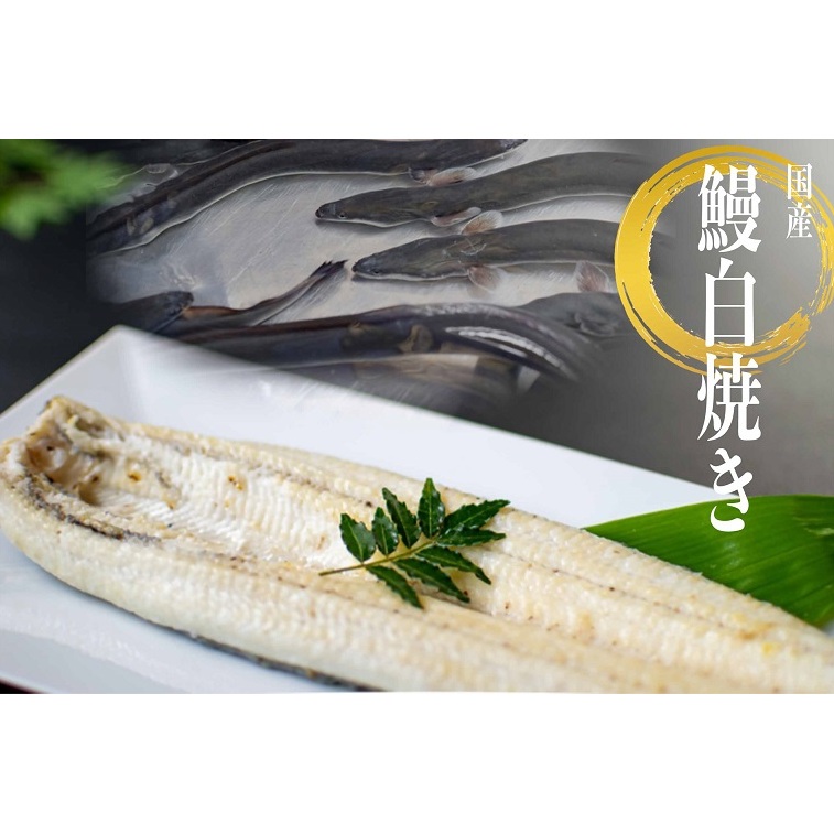 こだわりの国産厳選うなぎ　白焼き（2尾）【国産 厳選 鰻 ウナギ 鰻白焼き 蒲焼 タレ 山椒 土用 丑の日 15000円以下 鹿嶋市 茨城県】（KAL-4）