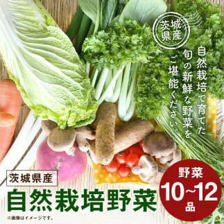 【共通返礼品】自然栽培野菜10~12品目(KBE-111)