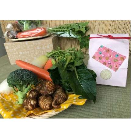 【栽培期間農薬不使用】お米(2kg)と季節の野菜(4~5品)のセット 【おいしい ごはん やさい セット グルメ 無農薬】(KBE-8)