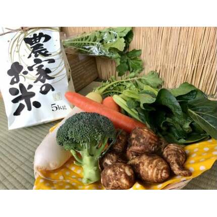【栽培期間農薬不使用】お米(5kg)と野菜セット 【おいしい ごはん やさい セット グルメ 無農薬】(KBE-22)