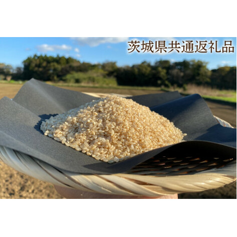 【できるだけ農薬を減らした】R7年産 マキタ超こしひかり 玄米10kg【茨城県共通返礼品・行方市産】【おいしい お米 マキタ 減農薬 安心 げんまい  鹿嶋市】(KBE-79)