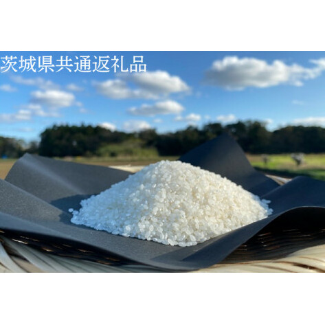 【できるだけ農薬を減らした】R7年産 マキタ超こしひかり 白米5kg【茨城県共通返礼品・行方市産】【おいしい お米 マキタ 減農薬 安心  鹿嶋市】(KBE-83)