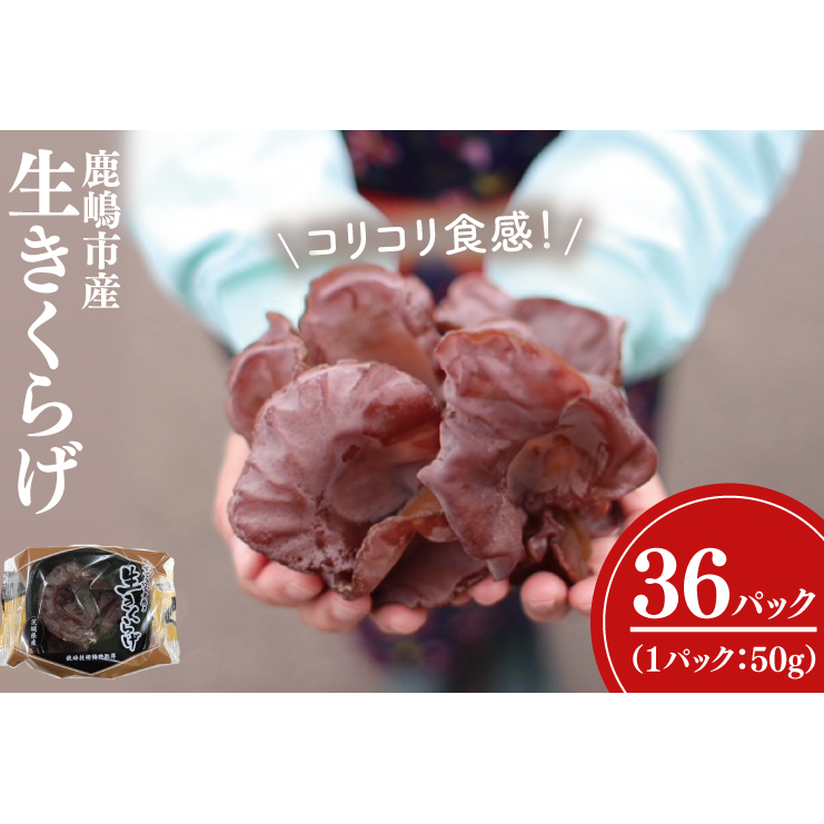 コリコリ食感!生きくらげ KL-3