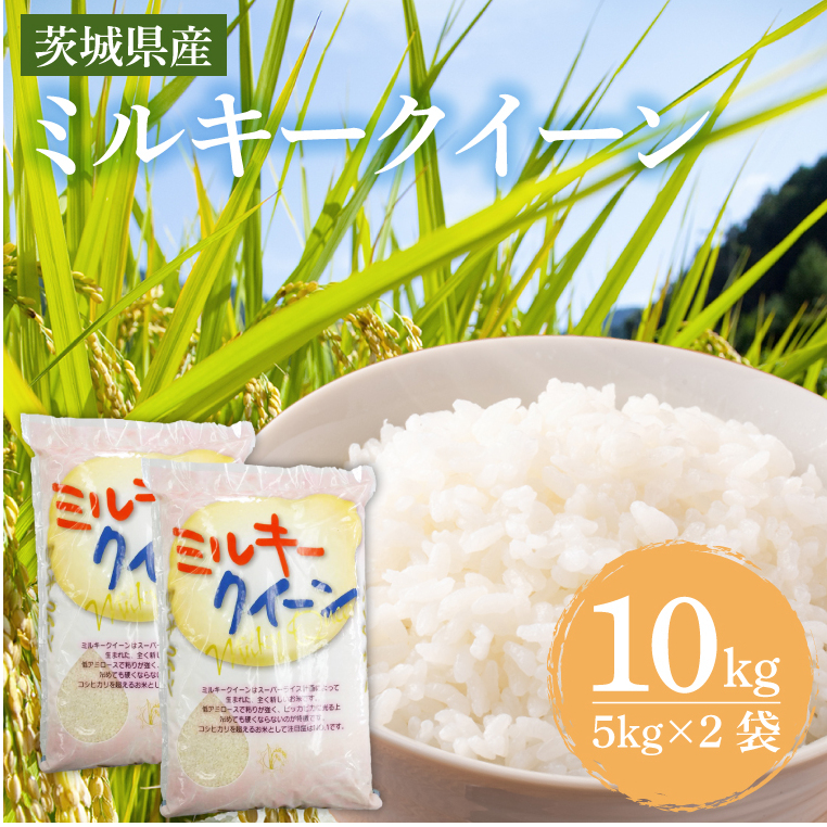 茨城県産ミルキークイーン 10kg (5kg×2袋) 【米 お米 白米 精米 おにぎり 茨城県産 鹿嶋市 国産 送料無料】 (KY-2)