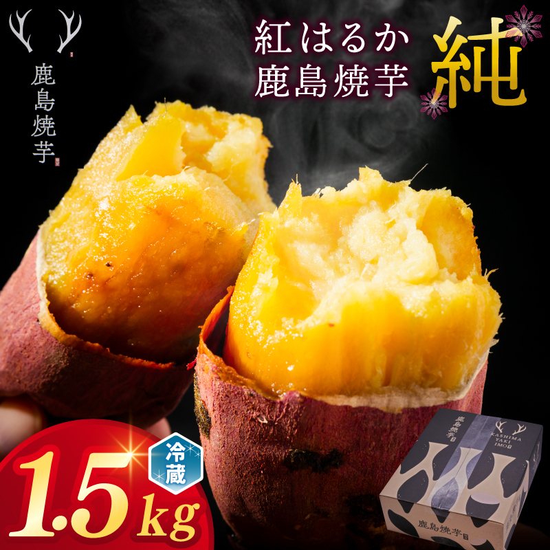 ★新芋 先行予約★【人気返礼品】鹿島焼芋 純 1.5kg【冷蔵 ひやし 焼き芋 やきいも さつまいも 芋 お菓子 おやつ デザート スイーツ 和菓子 和スイーツ 鹿嶋市 茨城県】(KBK-8-2)