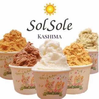 Sol soleのジェラート6種 6個入り 無添加 ジェラート スイーツ デザート 鹿嶋市 アイス 送料無料(KBM-1)