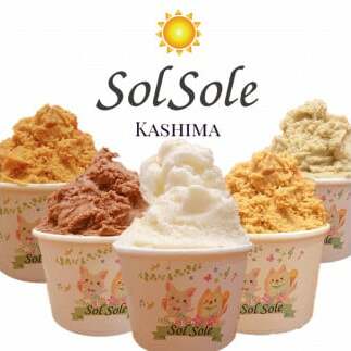 Sol soleのジェラート9種 9個入り 無添加　ジェラート スイーツ デザート 鹿嶋市　アイス 送料無料（KBM-2）