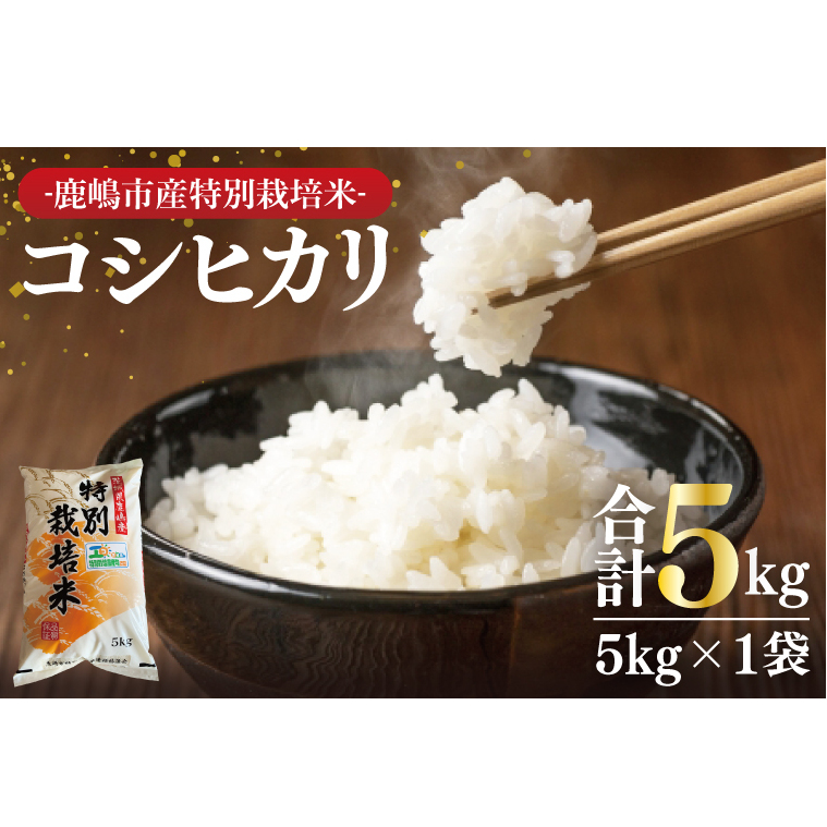 【令和7年産】鹿嶋市の子どもたちが食べている特別栽培米コシヒカリ(5kg×1袋)【お米 米 こしひかり 特別栽培 有機肥料 有機栽培 鹿嶋市 茨城県 白米 新米 おにぎり ごはん 15000円以内】(KBS-6)