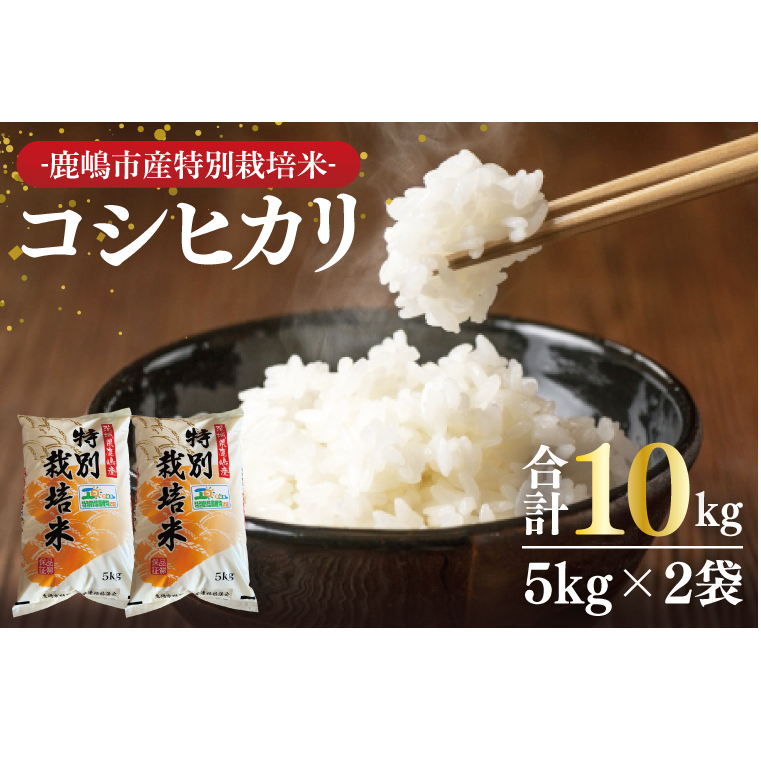 【令和7年産】鹿嶋市の子どもたちが食べている特別栽培米コシヒカリ10kg（5kg×2袋）【お米 米 こしひかり 特別栽培 有機肥料 有機栽培 鹿嶋市 茨城県 白米 新米 おにぎり ごはん 30000円以内 3万円以内 】(KBS-7）
