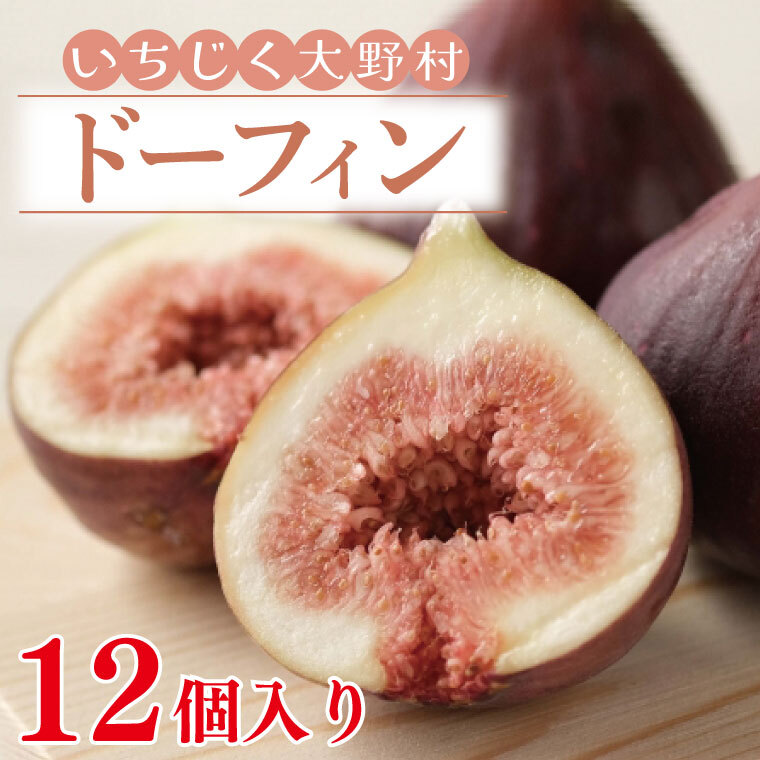 【数量限定】【7月上旬~11月まで発送】いちじく大野村(ドーフィン) 12個入 フルーツ果物(KAE-5)