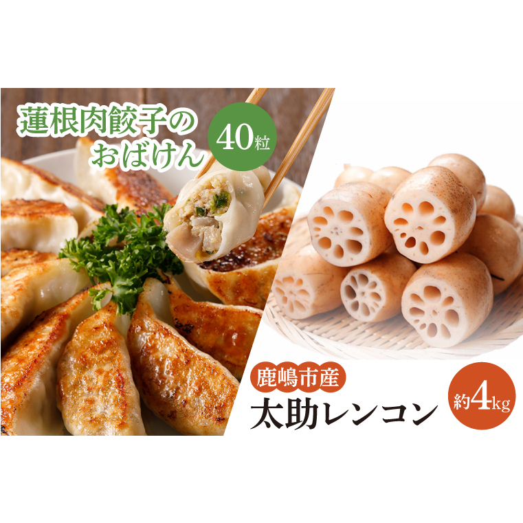 【先行予約】【セット販売】太助レンコン&蓮根肉餃子のおばけん 【4kg&40粒】【野菜 ギョーザ れんこん しゃきしゃき おいしい 食べきり 茨城県 鹿嶋市】(KBU-6)