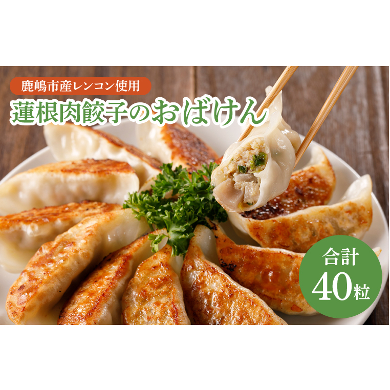 【お試しサイズ】蓮根肉餃子のおばけん【40粒】【野菜 ギョーザ れんこん しゃきしゃき おいしい 食べきり 茨城県 鹿嶋市】(KBU-20)