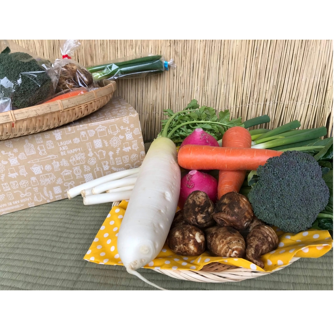 【10ヵ月定期便】【栽培期間農薬不使用】季節の野菜ハーフセット（6～7品）【自然 健康 農薬 なし 美味しい 安全 やさい 10回 鹿嶋市】（KBE-112）