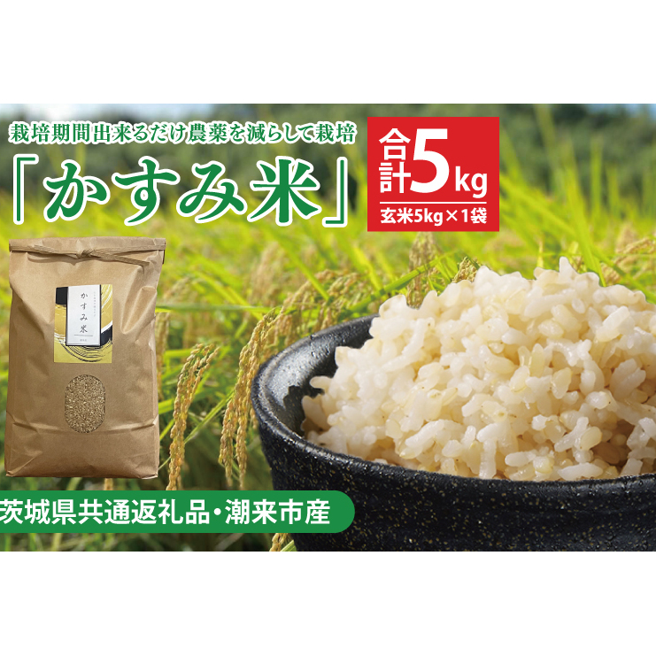 【茨城県共通返礼品・潮来市産】【先行予約】令和7年産新米 栽培期間出来るだけ農薬を減らして作る「かすみ米」（コシヒカリ）玄米5kg 【げんまい 減農薬 こしひかり おいしい おこめ 安心 安全 健康】（KBE-108）