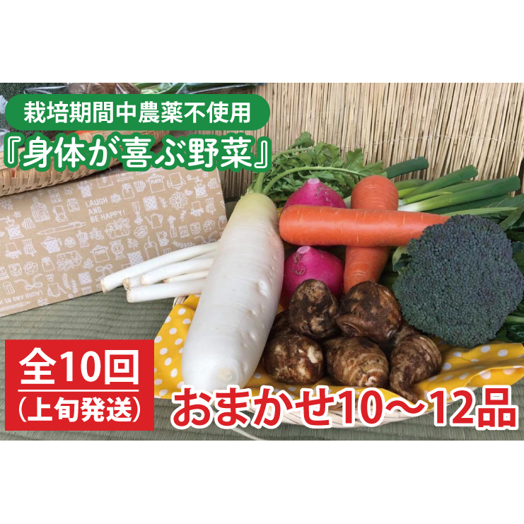 【発送月固定定期便】栽培期間中農薬不使用『身体が喜ぶ野菜』おまかせ10～12品（上旬発送）全10回 【新鮮 やさい ベジタブル 安心 安全 おいしい ランダム】（KBE-114）