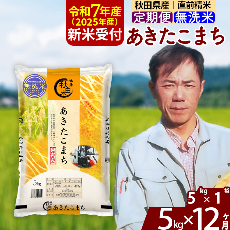 ※令和7年産 新米予約※《定期便12ヶ月》秋田県産 あきたこまち 5kg【無洗米】(5kg小分け袋) 2025年産 お届け周期調整可能 隔月に調整OK お米 みそらファーム