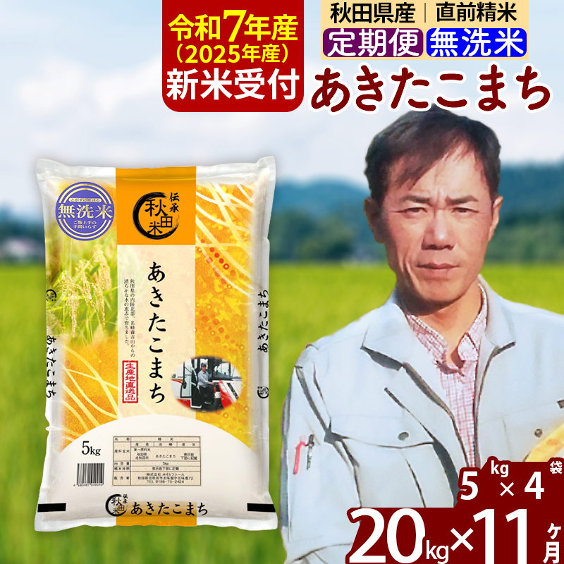 ※令和7年産 新米予約※《定期便11ヶ月》秋田県産 あきたこまち 20kg【無洗米】(5kg小分け袋) 2025年産 お届け周期調整可能 隔月に調整OK お米 みそらファーム