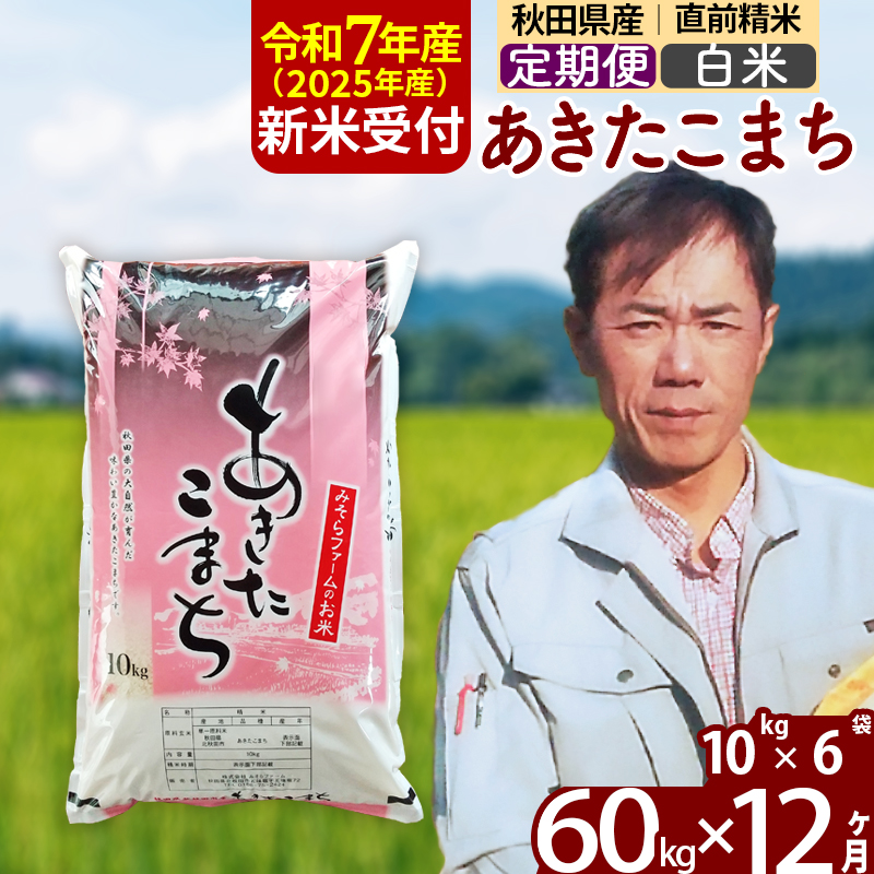 ※令和7年産 新米予約※《定期便12ヶ月》秋田県産 あきたこまち 60kg【白米】(10kg袋) 2025年産 お届け時期選べる お届け周期調整可能 隔月に調整OK お米 みそらファーム
