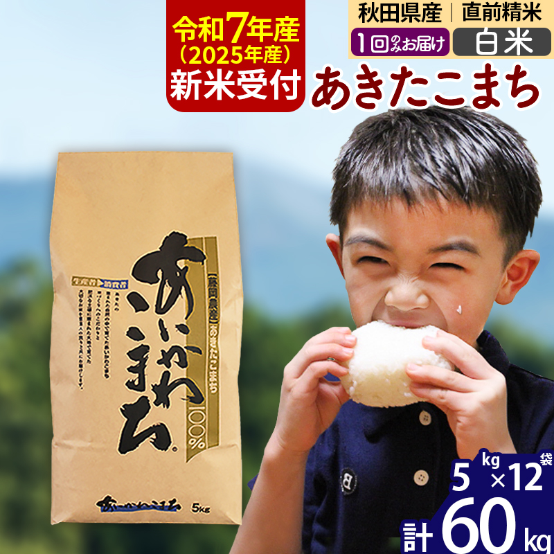 ※令和7年産 新米予約※秋田県産 あきたこまち 60kg【白米】(5kg小分け袋) 【1回のみお届け】2025年産 お届け時期選べる お米 藤岡農産