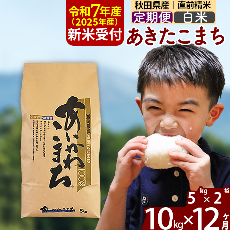 ※令和7年産 新米予約※《定期便12ヶ月》秋田県産 あきたこまち 10kg【白米】(5kg小分け袋) 2025年産 お届け時期選べる お届け周期調整可能 隔月に調整OK お米 藤岡農産