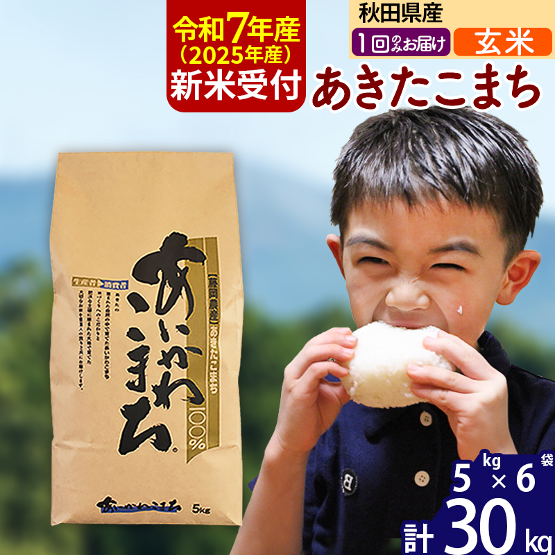 秋田県産 令和6年度 新米 あきたこまち 30㎏ 玄米