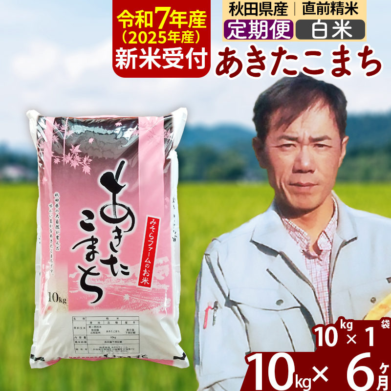 ※令和7年産 新米予約※《定期便6ヶ月》秋田県産 あきたこまち 10kg【白米】(10kg袋) 2025年産 お届け周期調整可能 隔月に調整OK お米 みそらファーム