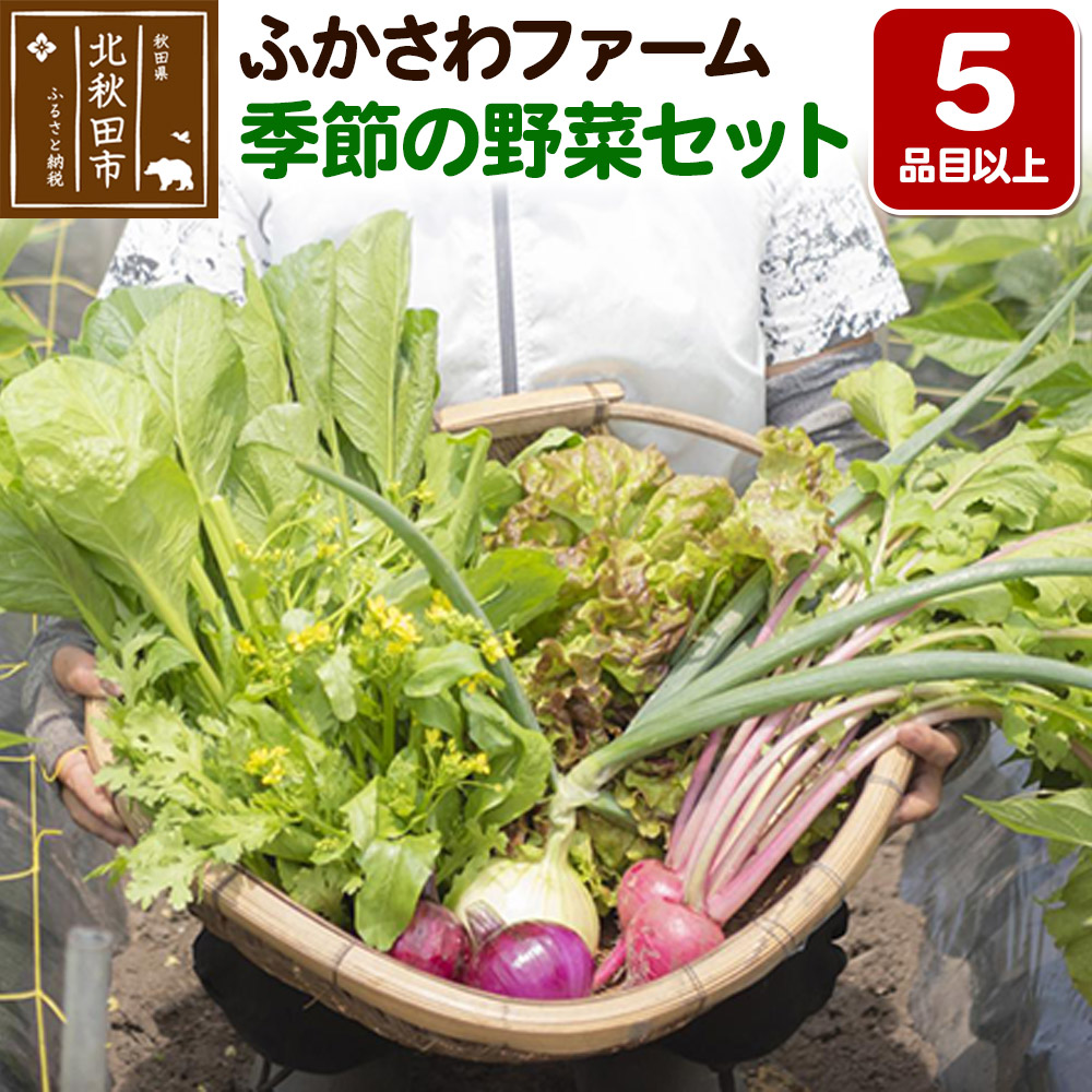 ふかさわファーム 季節の野菜セット