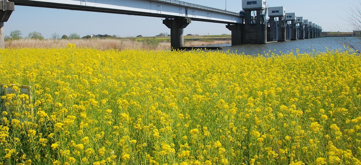 群馬県千代田町