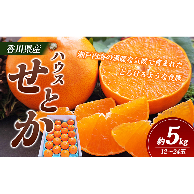 【 小豆島 】 ハウスせとか 約５kg 柑橘 せとか 瀬戸香 ハウス 果物 フルーツ くだもの 瀬戸内 くだもの 国産 香川 香川県 土庄 土庄町 