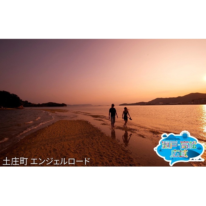 【 小豆島 】「瀬戸・たかまつネットワーク」香川県　アート島めぐり（小豆島・豊島・直島方面）2日間 チケット ペア 旅行券 観光 