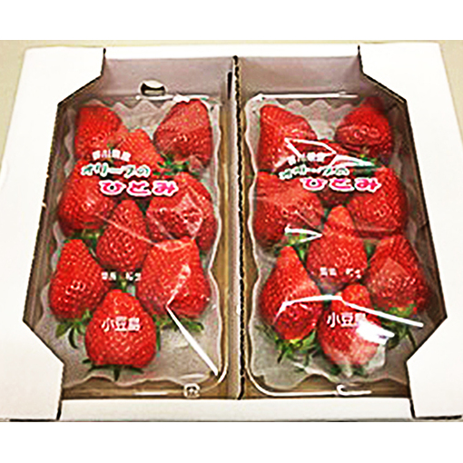 【 小豆島 】小豆島のいちご（女峰）DXパック［ 250ｇ×２パック］ 果物類 苺 イチゴ 