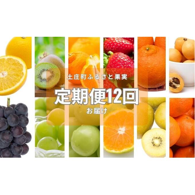 【 小豆島 】土庄町 ふるさと果実 12回 定期便 フルーツ 果物 季節 旬 キウイ キウイフルーツ デコポン 柑橘 いちご 苺 イチゴ 甘夏柑 びわ みかん 蜜柑 シャイン マスカット ぶどう 葡萄 くだもの 国産 香川 香川県 土庄 土庄町