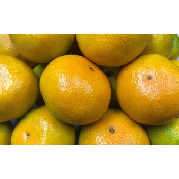 【 小豆島 】小豆島　ゆら早生みかん　約3kg 果物類 柑橘類 柑橘 ミカン フルーツ くだもの 