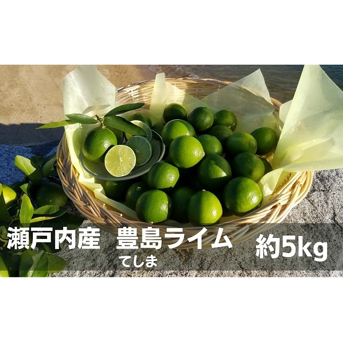 【 小豆島 】 瀬戸内産 豊島ライム 約5kg 柑橘 爽やか 豊島 瀬戸内 香川 香川県 土庄 土庄町