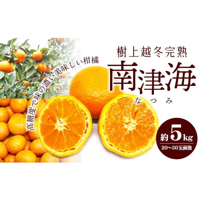 【 小豆島 】 南津海 （ なつみ ） みかん 約5kg 柑橘 ミカン 果物 フルーツ  越冬 完熟 くだもの 国産 香川 香川県 土庄 土庄町