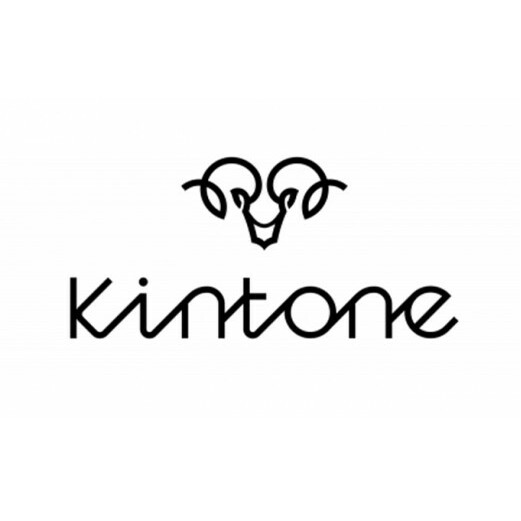 電動キックボード 公道 走行可能 KINTONE Model One S 増量バッテリーモデル(ホワイト） 白 免許不要 おりたたみ 特定小型原付 |  茨城県常総市 | JRE MALLふるさと納税