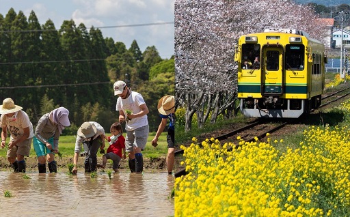 1 市長が必要と認める事業（いすみ鉄道応援プロジェクト・いすみ有機無農薬野菜プロジェクトなど）