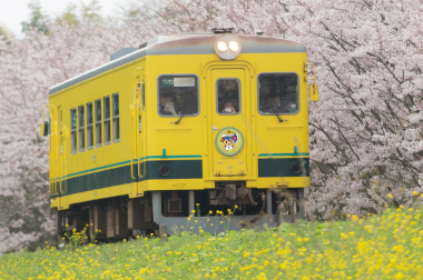 千葉県いすみ市