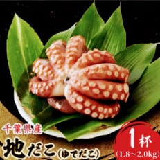 地だこ 1杯 (1.8kg～2.0kg)【配送不可地域：離島】【1575491】
