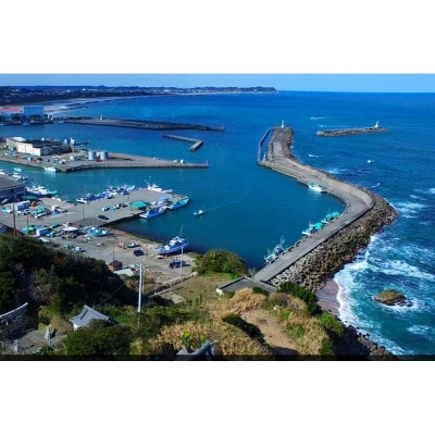 ISUMIんツアー 　大原漁港スタディツアーとロケ聖地巡礼【1640575】