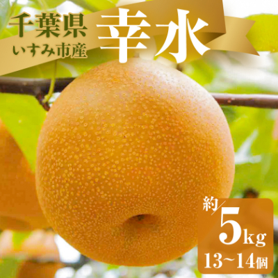 【2025年発送先行受付】いすみ市産幸水梨 約5kg(13~14個)【1462339】