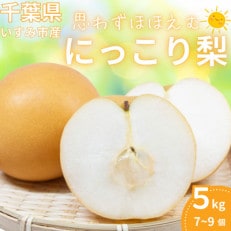 いすみ市産にっこり梨 約5kg(7~9個)【1462340】