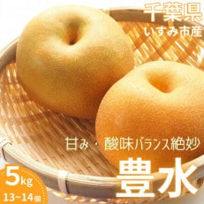 【2025年発送先行受付】いすみ市産豊水梨 約5kg(13~14個)【1462343】