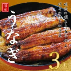 鰻の老舗 千葉県いすみ市藤井のうなぎ白焼き(3匹)【配送不可地域:離島・沖縄】【1391298】